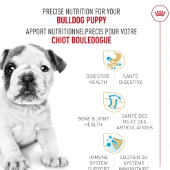 Fashion Bulldog Puppy Food Food Dry, Wet, Freeze Dried, Etc.