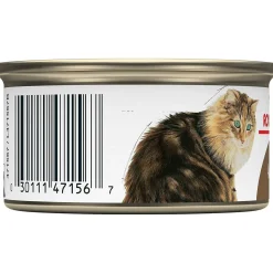 Hot Canned Cat Food Aging 12+ Thin Slices In Gravy Wet Food Cans, Pouches, Tetra Paks, Etc.