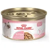 Clearance Canned Kitten Food Instinctive Thin Slices In Gravy Wet Food Cans, Pouches, Tetra Paks, Etc.