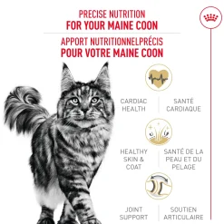 Sale ® Feline Breed Nutrition™ Maine Coon Dry Cat Food Dry Food Dry Cat Food