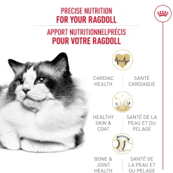 Outlet Feline Breed Nutrition Ragdoll Adult Dry Cat Food Dry Food Dry Cat Food