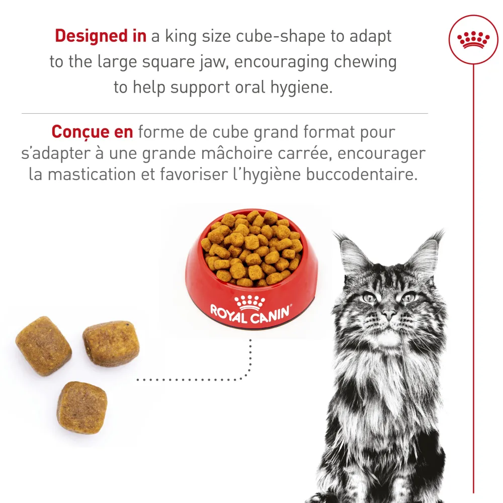 Sale ® Feline Breed Nutrition™ Maine Coon Dry Cat Food Dry Food Dry Cat Food