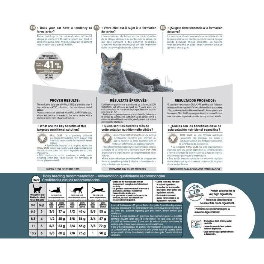 Clearance Feline Care Nutrition Dental Care Dry Cat Food Dry Food Dry Cat Food