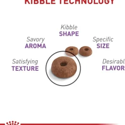 Sale Feline Care Nutrition Appetite Control Care Spayed/Neutered Adult Dry Cat Food Dry Food Dry Cat Food