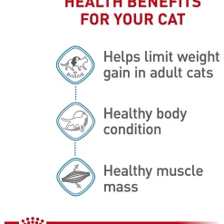 Outlet ® Feline Care Nutrition™ Weight Care Dry Cat Food Dry Food Dry Cat Food