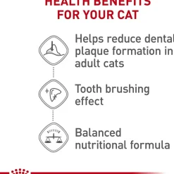 Clearance Feline Care Nutrition Dental Care Dry Cat Food Dry Food Dry Cat Food