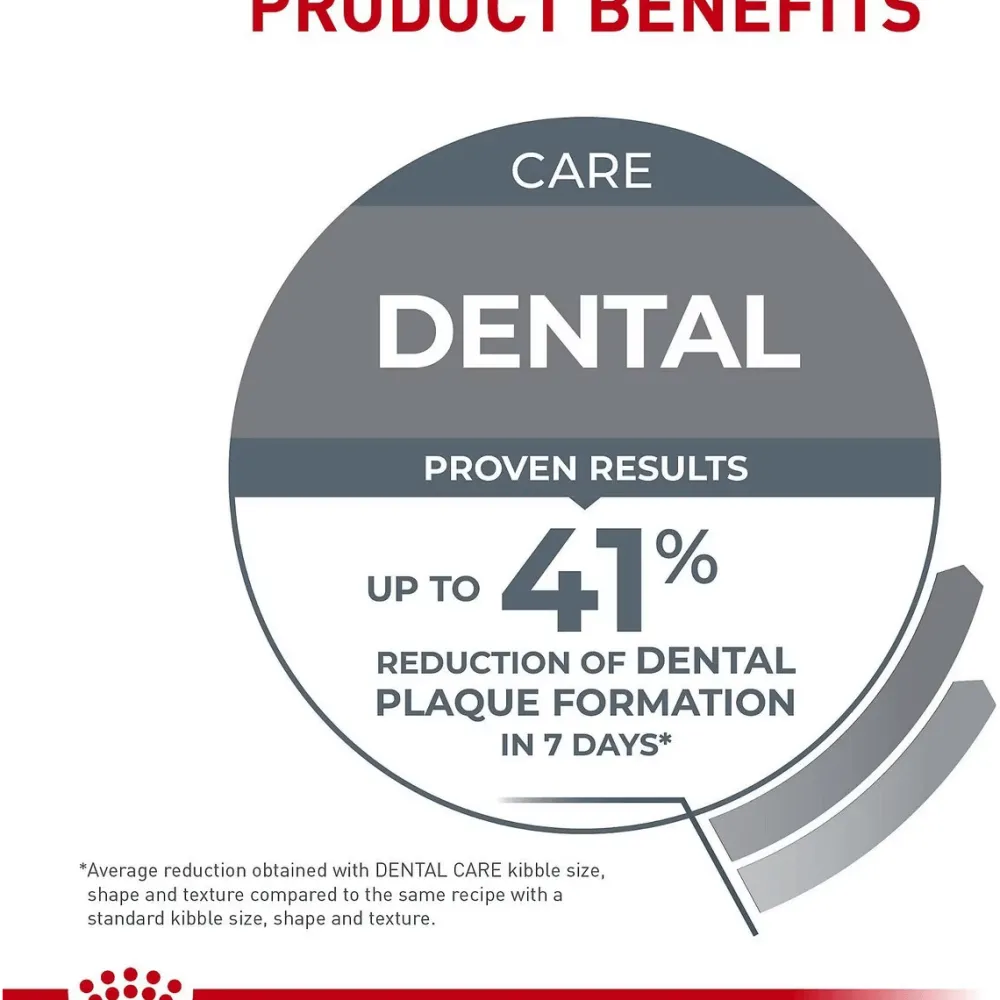 Clearance Feline Care Nutrition Dental Care Dry Cat Food Dry Food Dry Cat Food