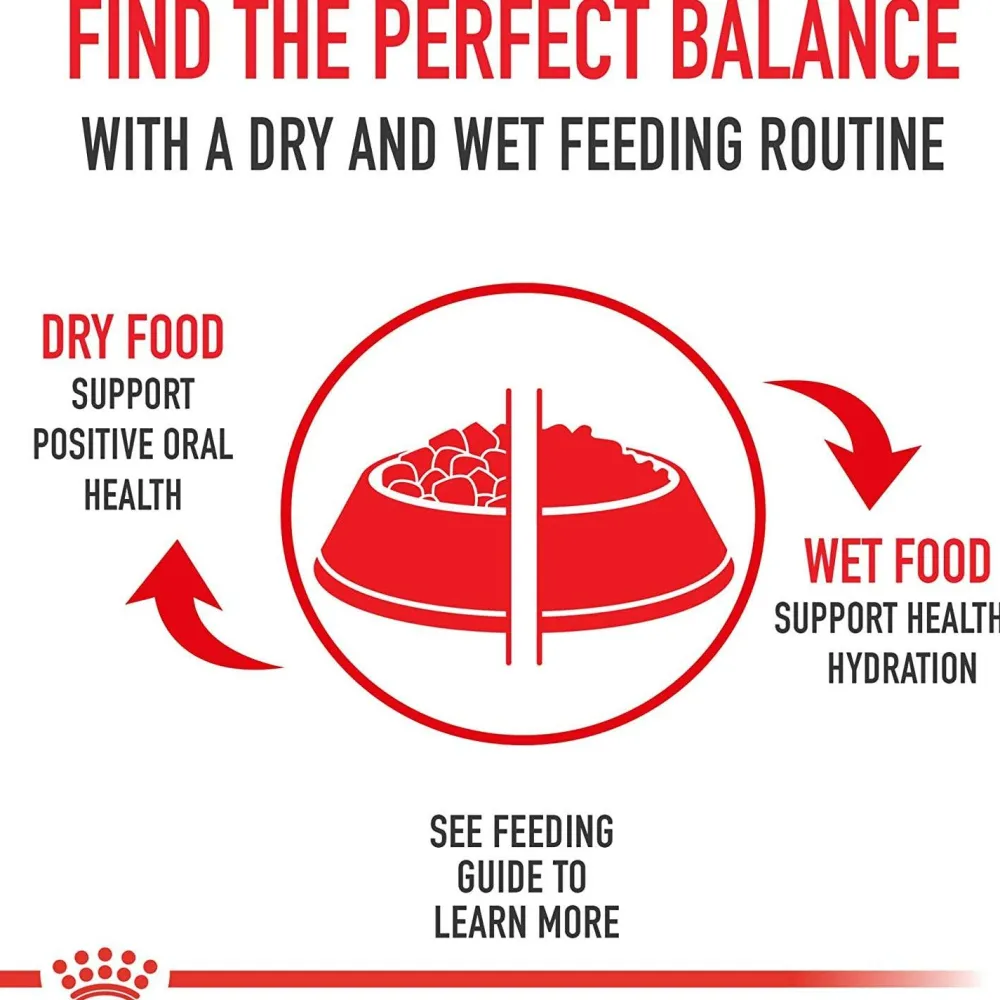 Fashion ® Feline Care Nutrition™ Digestive Care Thin Slices In Gravy Canned Cat Food Wet Food Cans, Pouches, Tetra Paks, Etc.