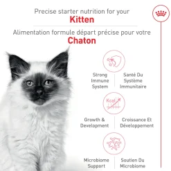 Sale ® Feline Health Nutrition™ Kitten Dry Cat Food Dry Food Dry Cat Food