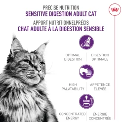 Clearance ® Feline Health Nutrition™ Sensitive Digestion Dry Adult Cat Food Dry Food Dry Cat Food