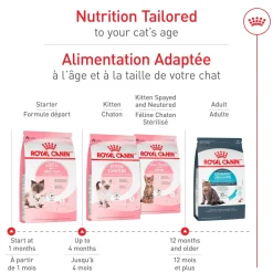 Online Feline Health Nutrition Mother & Babycat Dry Cat Food Dry Food Dry Cat Food