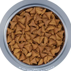 Sale ® Feline Health Nutrition™ Indoor Adult Dry Cat Food Dry Food Dry Cat Food