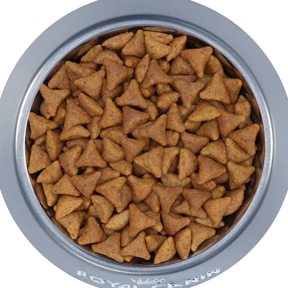 Sale ® Feline Health Nutrition™ Indoor Adult Dry Cat Food Dry Food Dry Cat Food