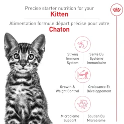 Sale Kitten Food Spay & Neutered Dry Food Dry Cat Food