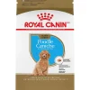 Best Poodle Puppy Food Food Dry, Wet, Freeze Dried, Etc.