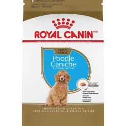 Best Poodle Puppy Food Food Dry, Wet, Freeze Dried, Etc.