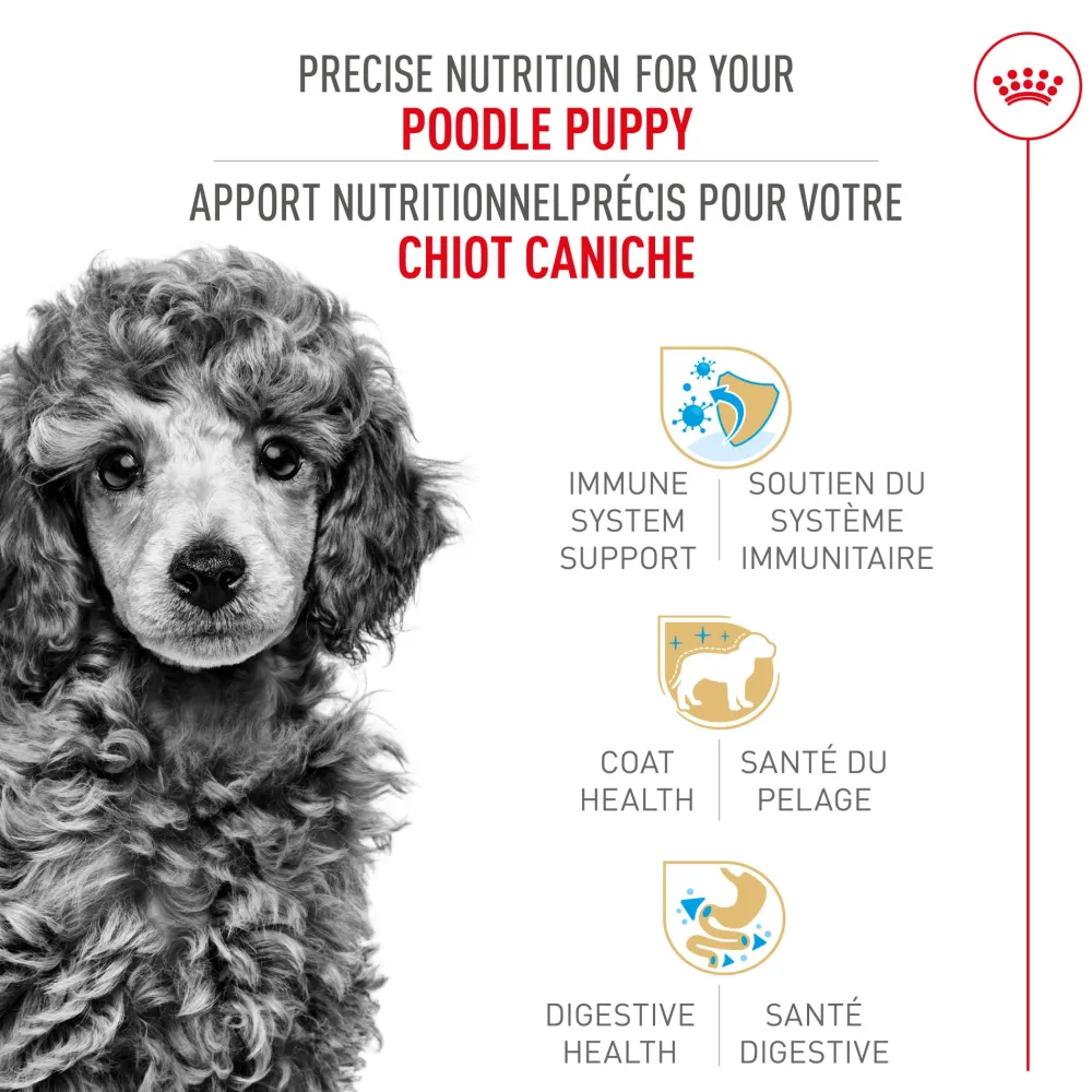 Best Poodle Puppy Food Food Dry, Wet, Freeze Dried, Etc.