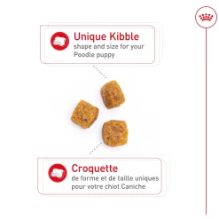 Best Poodle Puppy Food Food Dry, Wet, Freeze Dried, Etc.