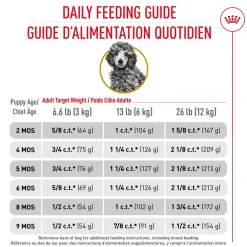 Best Poodle Puppy Food Food Dry, Wet, Freeze Dried, Etc.