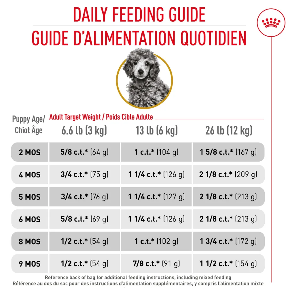 Best Poodle Puppy Food Food Dry, Wet, Freeze Dried, Etc.