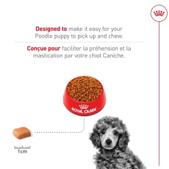 Best Poodle Puppy Food Food Dry, Wet, Freeze Dried, Etc.
