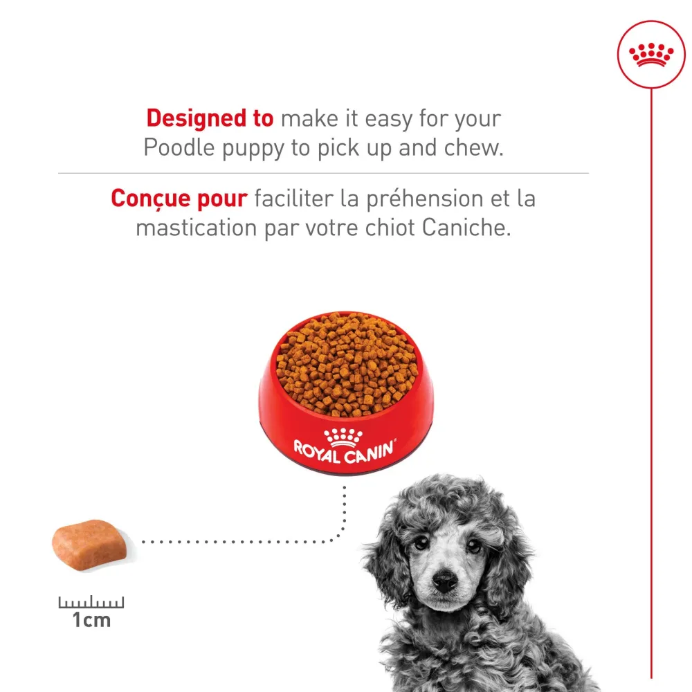 Best Poodle Puppy Food Food Dry, Wet, Freeze Dried, Etc.