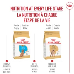 Best Poodle Puppy Food Food Dry, Wet, Freeze Dried, Etc.