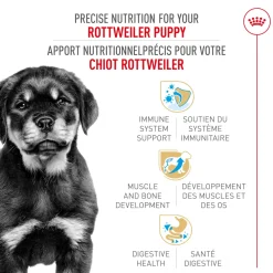 Best Rottweiler Puppy Food Food Dry, Wet, Freeze Dried, Etc.