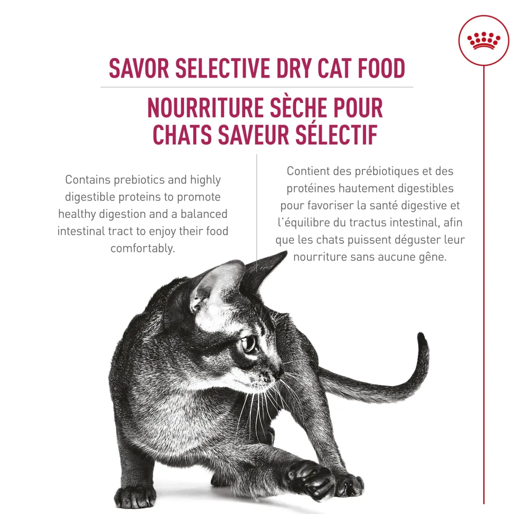 Best Savor Selective Dry Adult Cat Food Dry Food Dry Cat Food