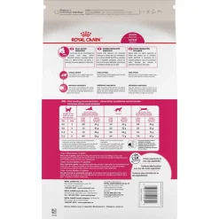 Best Savor Selective Dry Adult Cat Food Dry Food Dry Cat Food