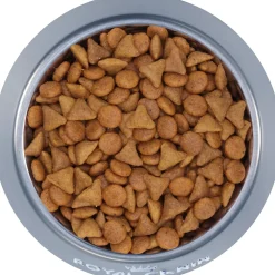 Best Savor Selective Dry Adult Cat Food Dry Food Dry Cat Food
