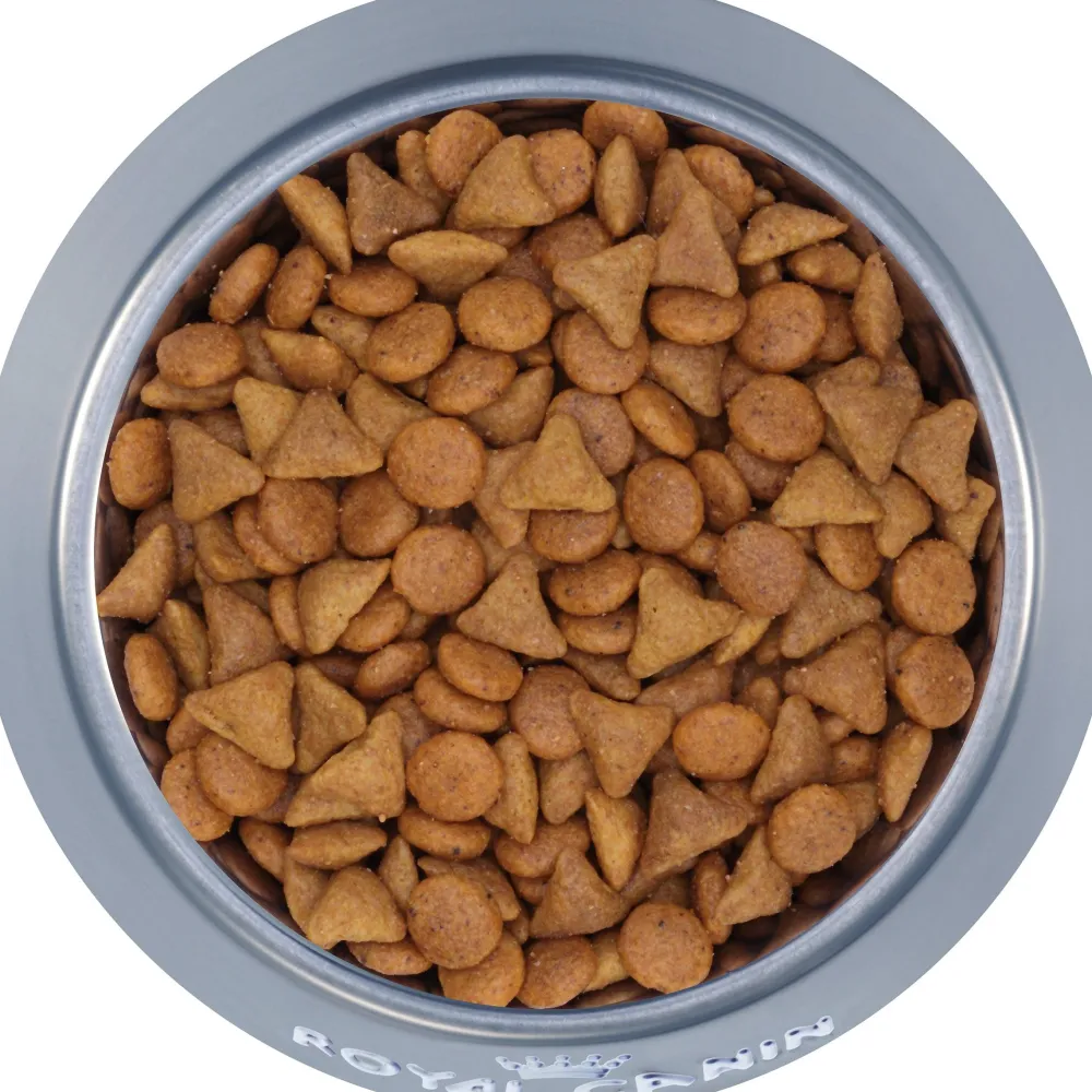 Best Savor Selective Dry Adult Cat Food Dry Food Dry Cat Food