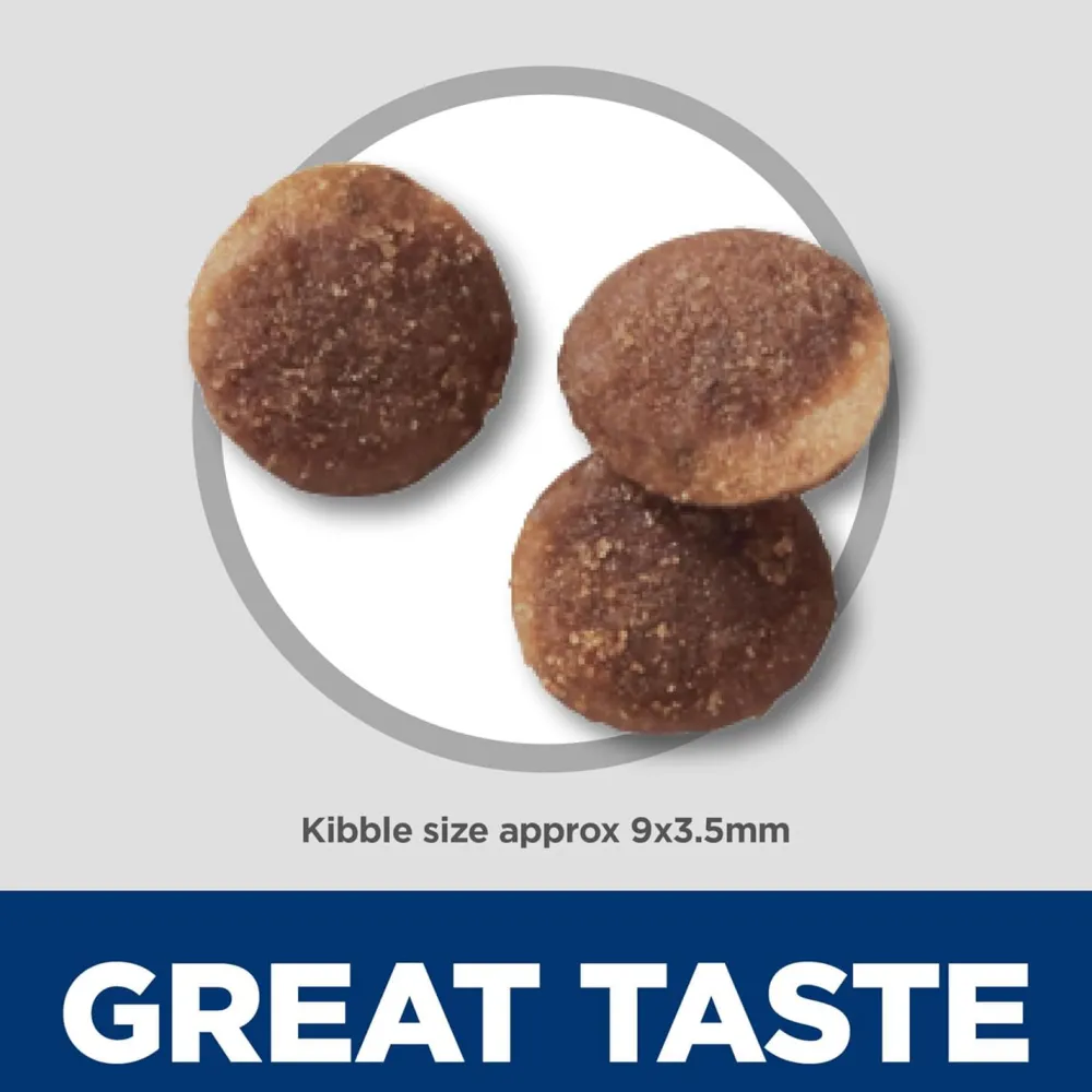 Online Canine Sensitive Stomach Pollock & Insect Food Dry, Wet, Freeze Dried, Etc.