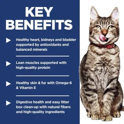 Clearance Feline Adult Indoor 7+ Dry Food Dry Cat Food