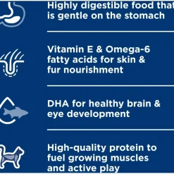 Discount Kitten Canned Sensitive Stomach & Skin Salmon & Vegetable Stew Wet Food Cans, Pouches, Tetra Paks, Etc.