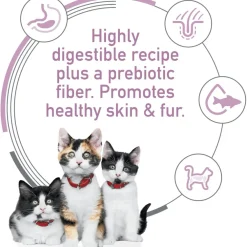 Discount Kitten Canned Sensitive Stomach & Skin Salmon & Vegetable Stew Wet Food Cans, Pouches, Tetra Paks, Etc.