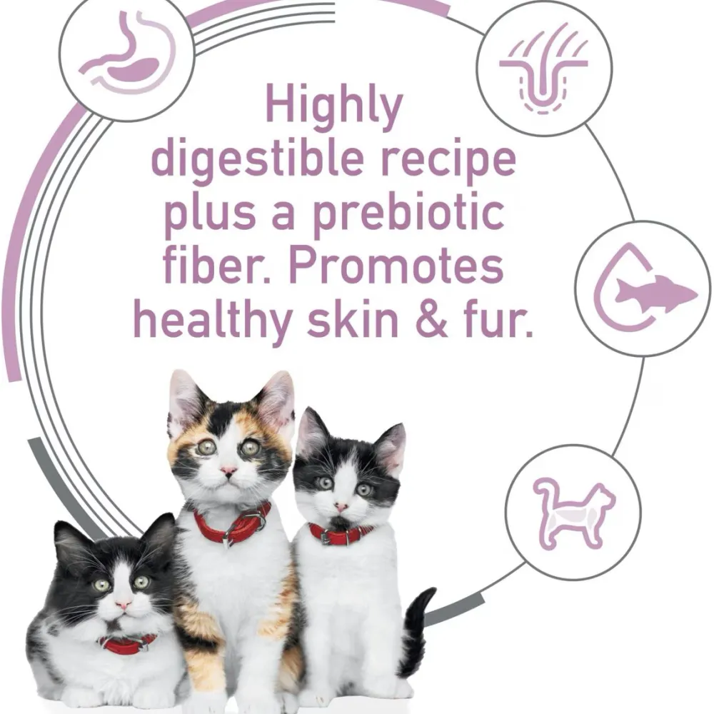 Discount Kitten Canned Sensitive Stomach & Skin Salmon & Vegetable Stew Wet Food Cans, Pouches, Tetra Paks, Etc.