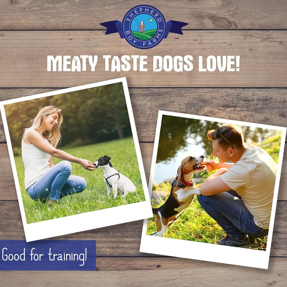 Sale Freeze Dried Lamb Liver Treats Treats & Chews