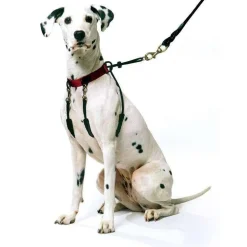 Clearance Sporn Halter Supplies Leashes, Collars, Beds, Flea & Tick, Etc.