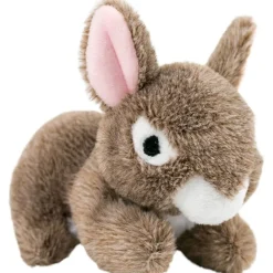 Best Plush Bunny Squeaker Toy Supplies Leashes, Collars, Beds, Flea & Tick, Etc. | Toys Interactive, Plush, Etc.