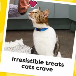 Hot Classic Tempting Tuna Flavor Soft & Crunchy Cat Treats Treats Crunchy, Soft, Lickable, Etc.