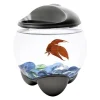 Discount Betta Bubble Bowl Aquarium Kit 0.5 Gallons Shop Fish Find All Of The Essentials