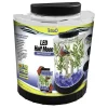 Fashion Betta LED Half Moon Aquarium Kit 1.1 Gallons Shop Fish Find All Of The Essentials