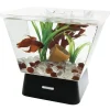 Online Betta LED Tank Aquarium Kit 1 Gallon Shop Fish Find All Of The Essentials