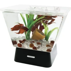 Online Betta LED Tank Aquarium Kit 1 Gallon Shop Fish Find All Of The Essentials