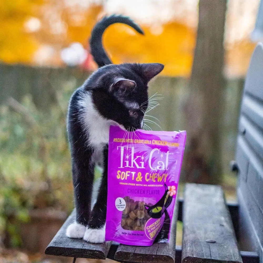 Best Treats Grain Free Soft & Chewy Chicken Treats Crunchy, Soft, Lickable, Etc.