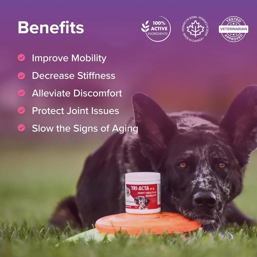 Fashion Joint H.A. Maximum Strength Formula Supplies Leashes, Collars, Beds, Flea & Tick, Etc.