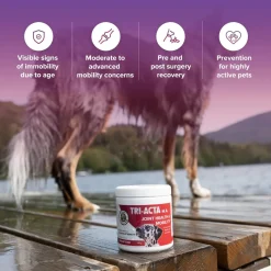 Fashion Joint H.A. Maximum Strength Formula Supplies Leashes, Collars, Beds, Flea & Tick, Etc.