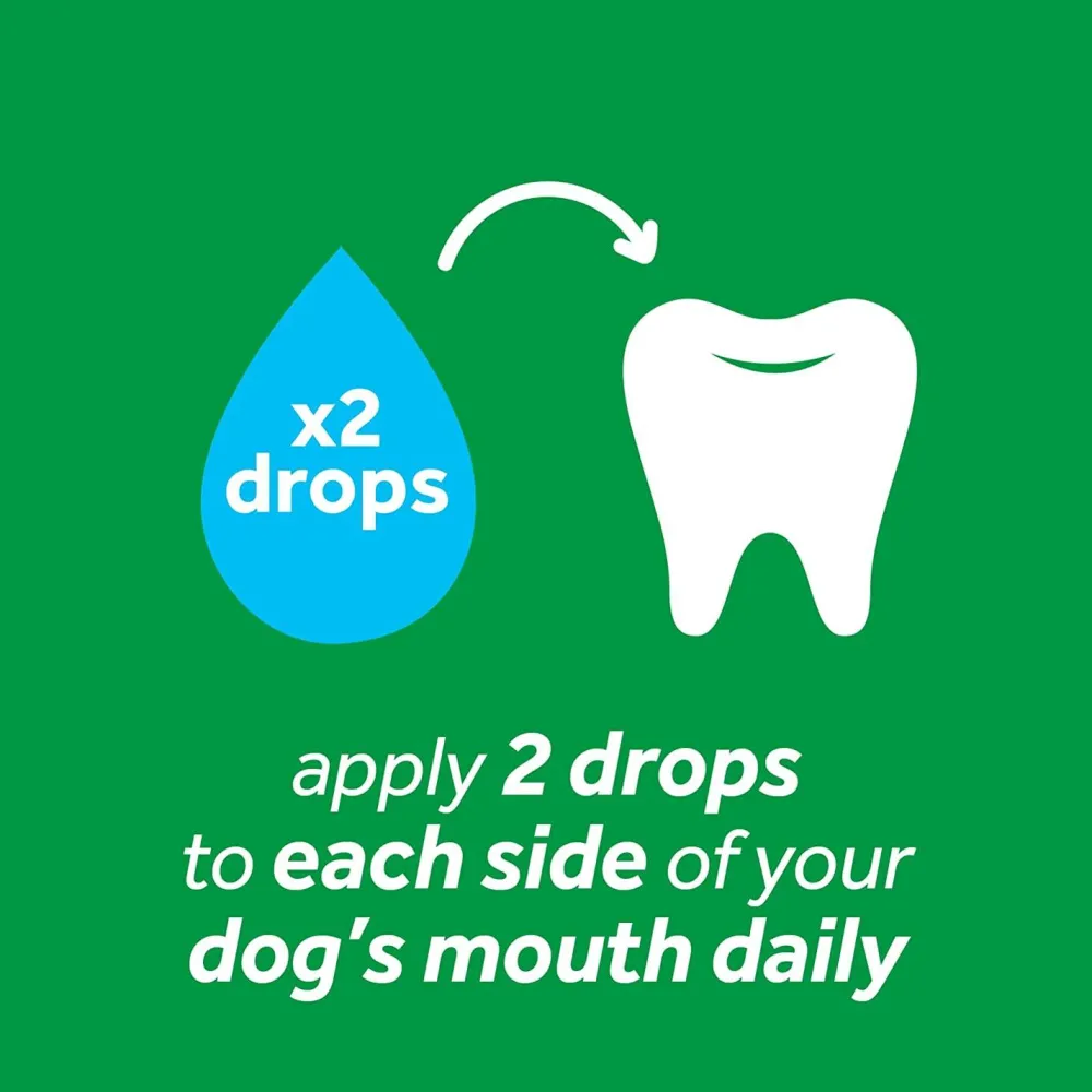 Fashion Fresh Breath Plaque Remover Pet Clean Teeth Gel Supplies Leashes, Collars, Beds, Flea & Tick, Etc.