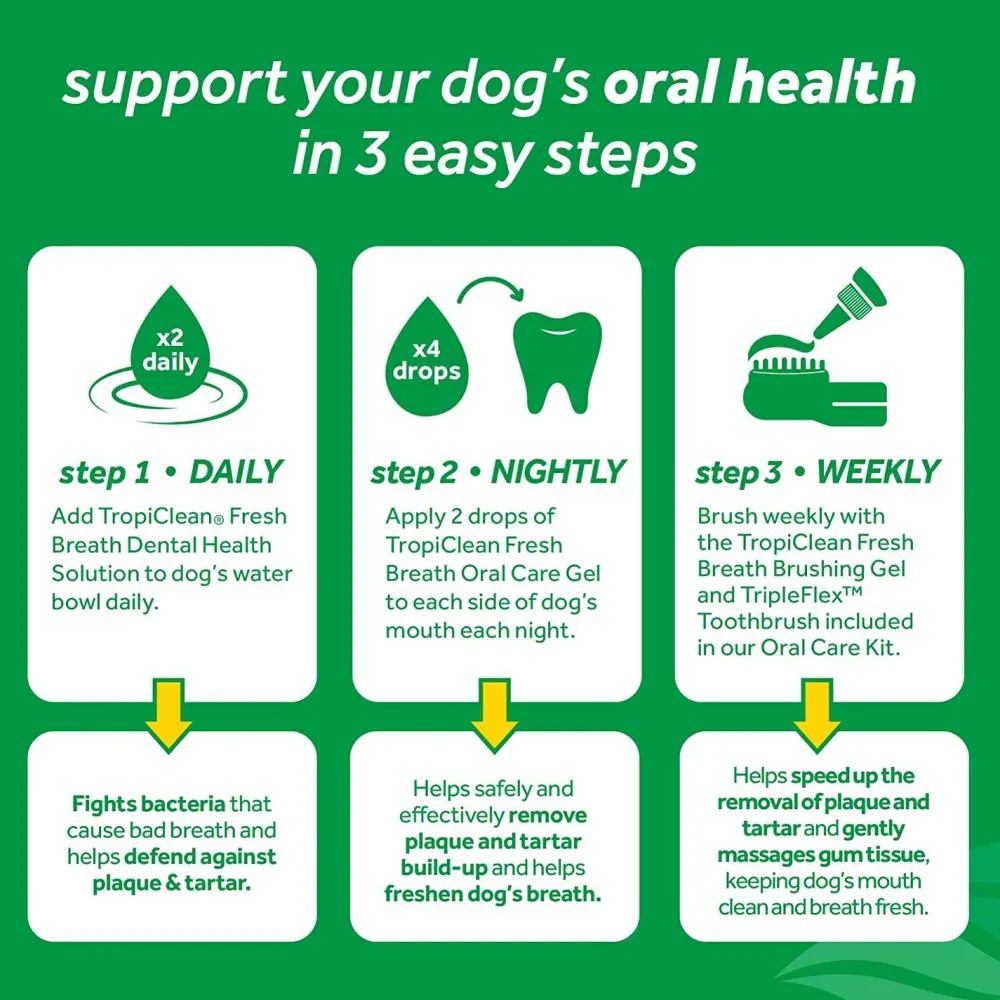 Fashion Fresh Breath Plaque Remover Pet Clean Teeth Gel Supplies Leashes, Collars, Beds, Flea & Tick, Etc.